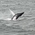 Photo taken by Lauren P