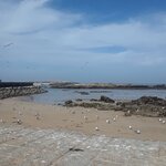 Photo taken by WILLIAM B