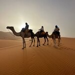 Photo taken by Rajgopal I