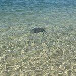 Photo taken by William F