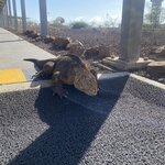 Photo taken by Nicole S