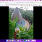 Photo taken by Cheryl J