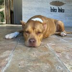 Photo taken by Amy M