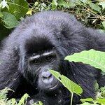 Photo taken by Michael L