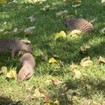 Photo taken by Paul B