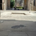 Photo taken by Charisma W