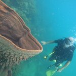 Photo taken by Susan & Bob M