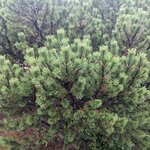 Photo taken by Daniel S