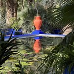 Photo taken by Larry M