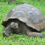 Photo taken by Natascia V