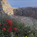 Photo taken by Shawn G