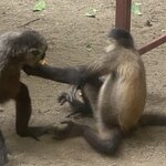 Photo taken by Roveen B