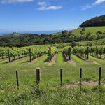 Photo taken by Rand M