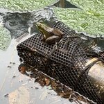 Photo taken by Harshida P