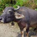 Photo taken by Peter M