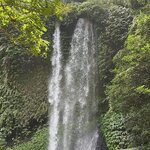 Photo taken by Dixie W