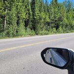 Photo taken by Virender V