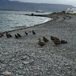 Photo taken by Christina L