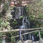 Photo taken by Candi S