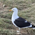 Photo taken by Marcia R