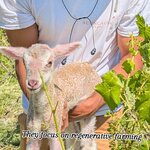 Photo taken by Colleen B