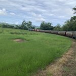 Photo taken by Julie H