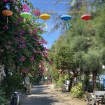 Photo taken by Jacqui O