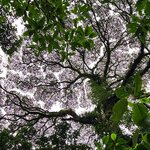 Photo taken by Esther B