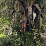 Photo taken by katie u