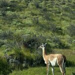 Photo taken by Rizal K