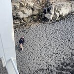 Photo taken by Christy L