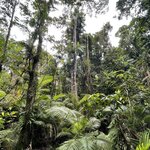 Photo taken by Kelsey D