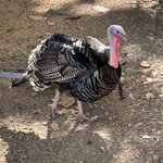 Photo taken by Ben B