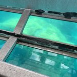 Photo taken by Rosemary S