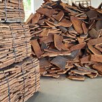 Photo taken by Debbie W