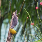 Photo taken by Dawne D