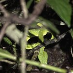 Photo taken by Erika H