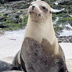 Photo taken by Thomas R