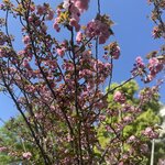 Photo taken by Sarah S