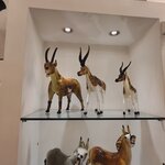 Photo taken by Jessica H