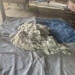 Photo taken by Ricky B