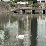 Photo taken by Beverly G