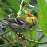 Photo taken by Mark B