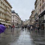 Photo taken by Kristin M