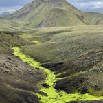 Photo taken by Mike S