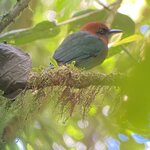 Photo taken by Roveen B