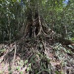 Photo taken by Bailey W