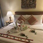 Photo taken by Andrew A