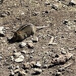 Photo taken by Michael L