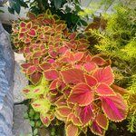 Photo taken by Suprema M